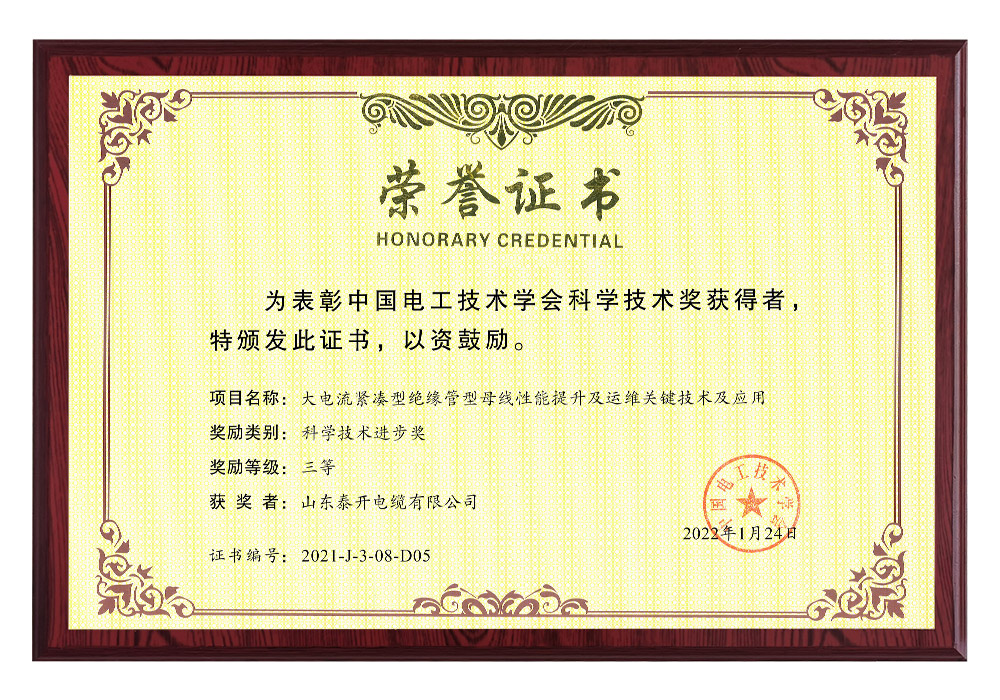中國電工技術(shù)學(xué)會科技進(jìn)步獎（大電流緊湊型絕緣管型母線性能提升及運(yùn)維關(guān)鍵技術(shù)及應(yīng)用）