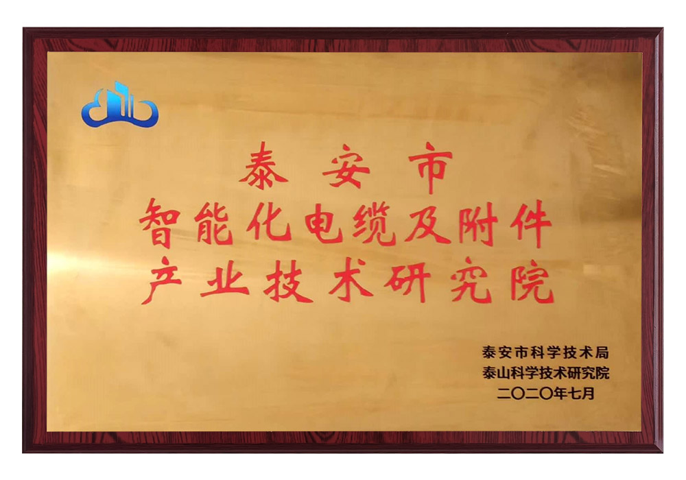 泰安市智能化電纜及附件產業技術研究院