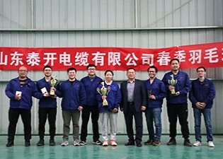 泰開(kāi)電纜2021年羽毛球比賽